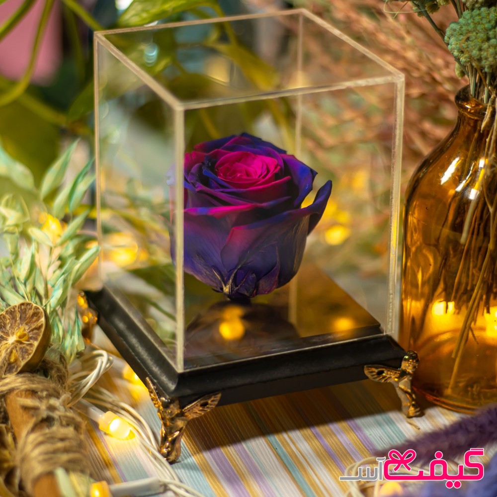 رز جاودان مدل فرشته (مشکی)