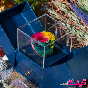 رز جاودان مدل رویال (آبی)