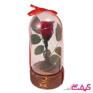 رز جاودان دیو و دلبر 