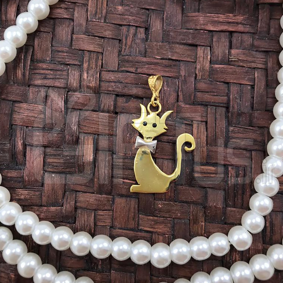 گربه اشرافی 