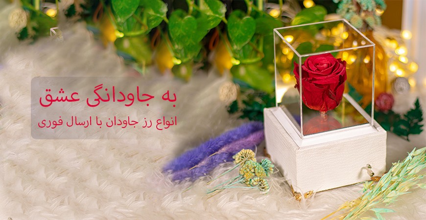 اسلایدر رز جاودان 